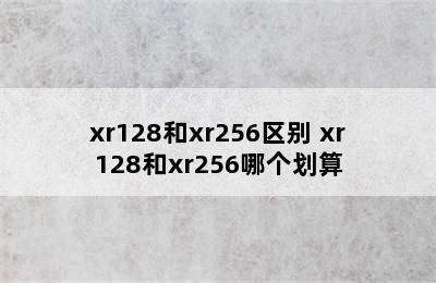 xr128和xr256区别 xr128和xr256哪个划算